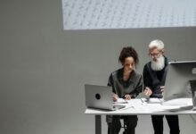 introducing wuvdbugflox software