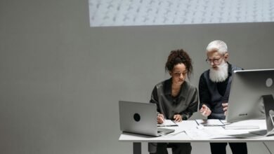 introducing wuvdbugflox software