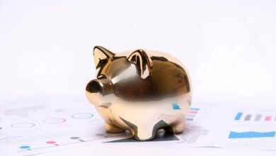 krishna arora s financial status