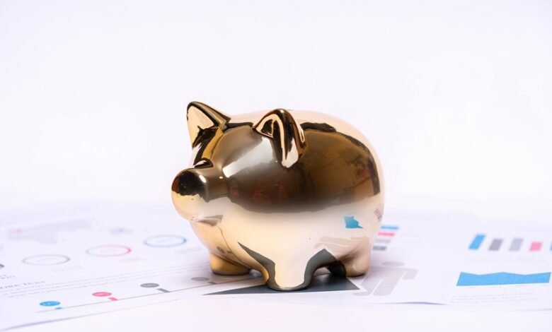 krishna arora s financial status