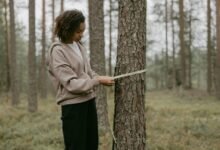 neeraj pepsu s height information