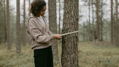 neeraj pepsu s height information