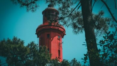 wurduxalgoilds lead free status