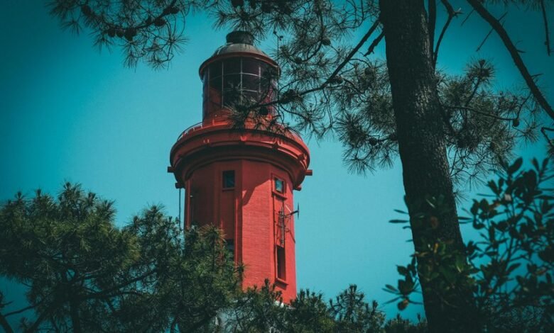 wurduxalgoilds lead free status